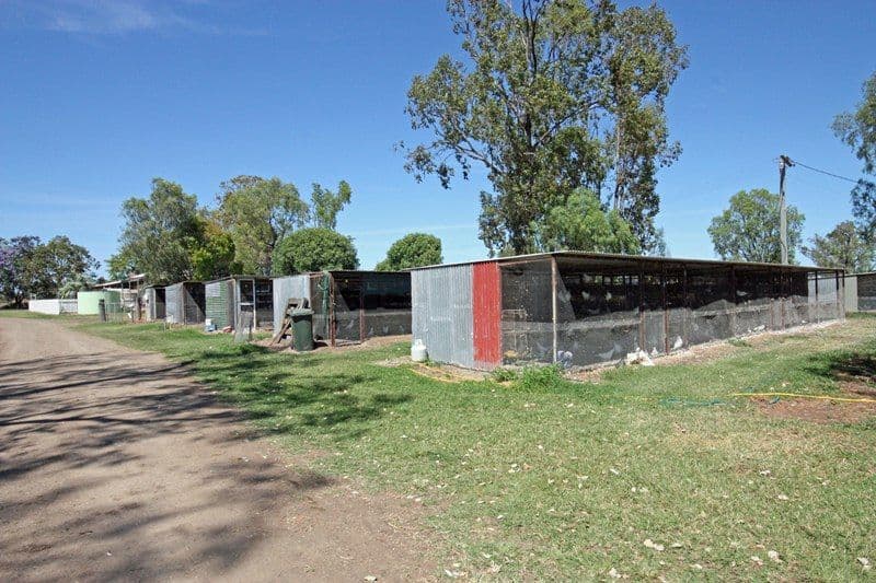 38932 Burnett Highway, THANGOOL QLD 4716, Thangool - Thumbnail 8