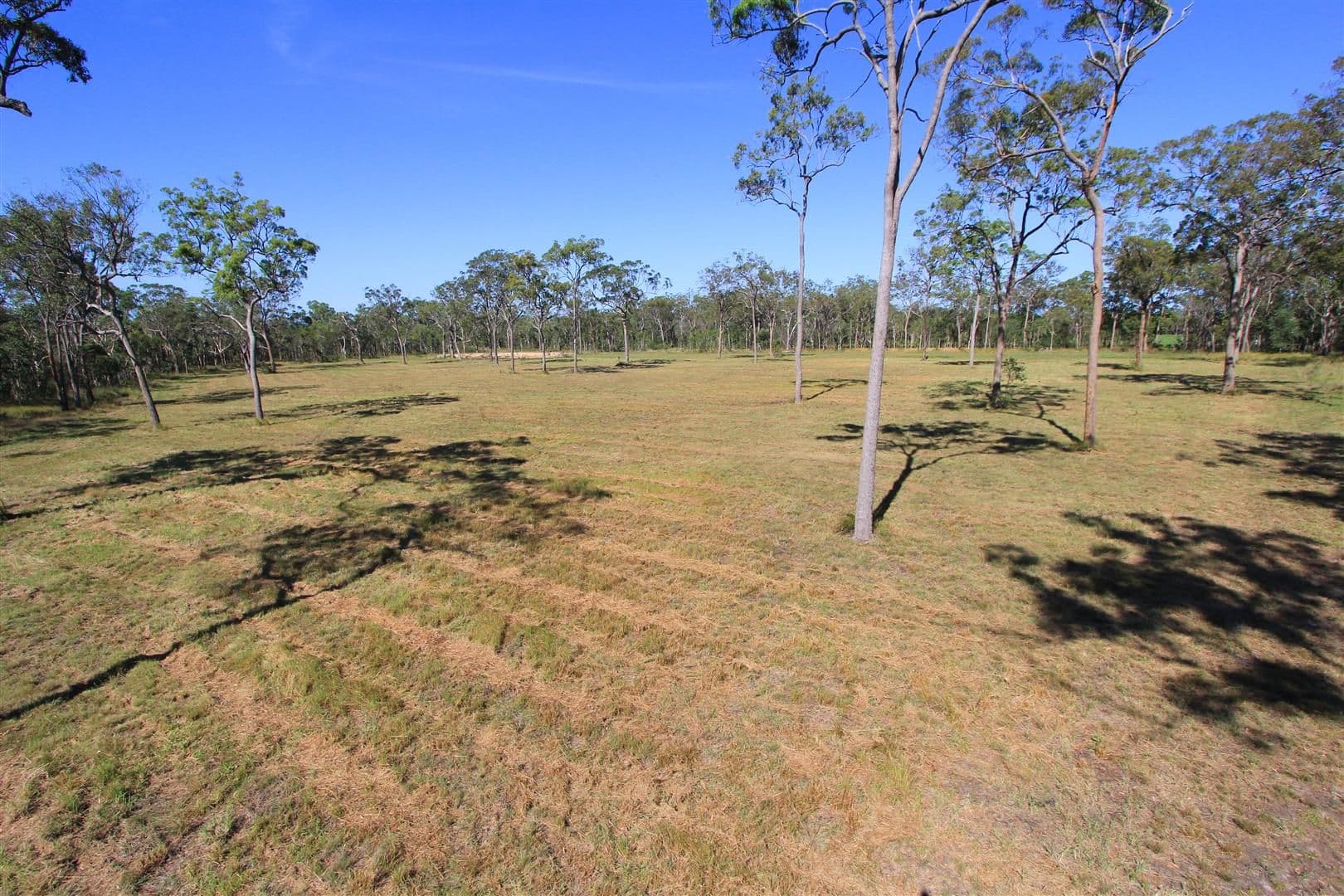 Lot 8 Manoo Road, SHARON QLD 4670, Sharon - Thumbnail 2