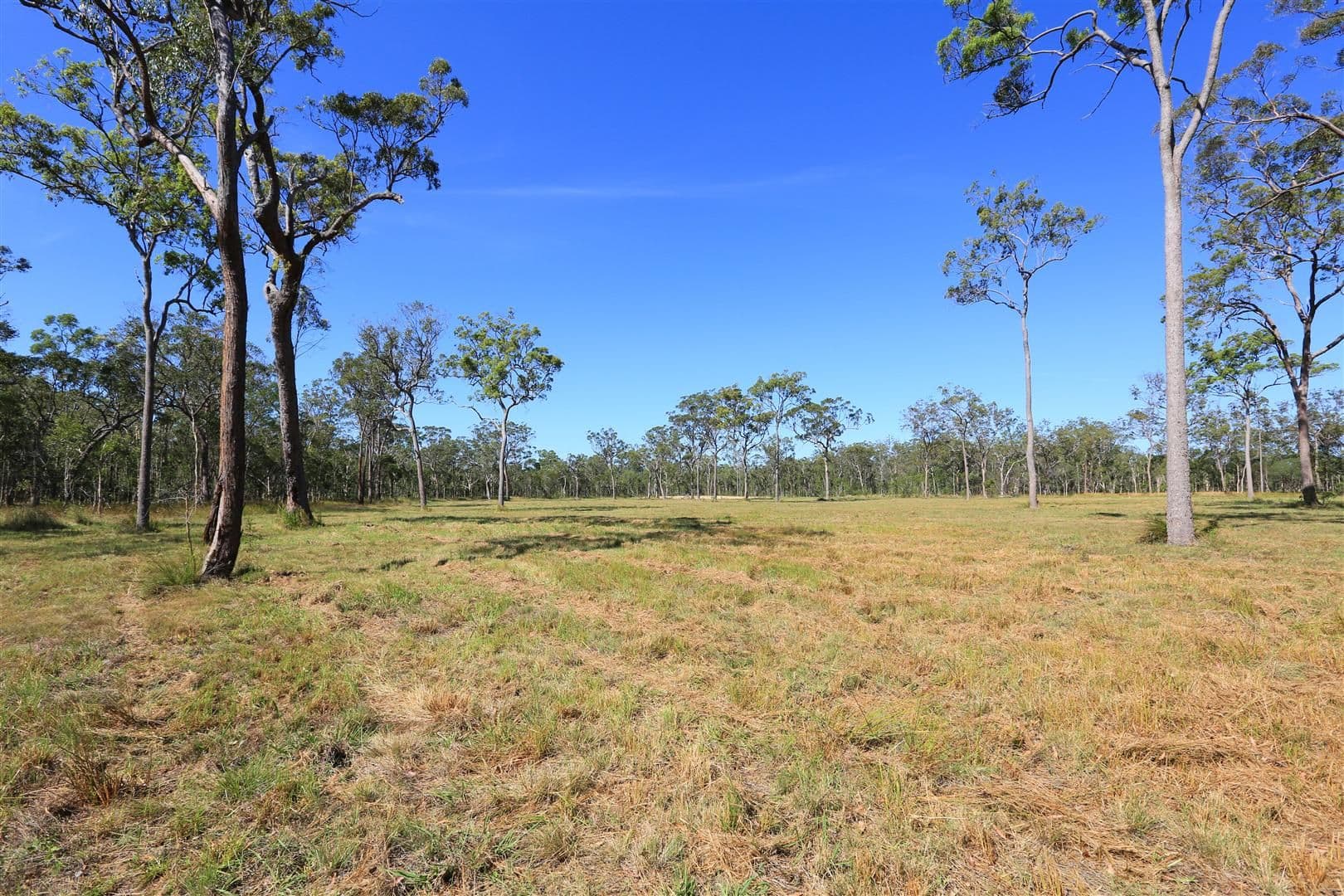 Lot 8 Manoo Road, SHARON QLD 4670, Sharon - Thumbnail 3