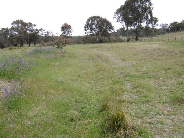 215 Woolpack Lane, CROWTHER NSW 2803, Crowther - Thumbnail 7