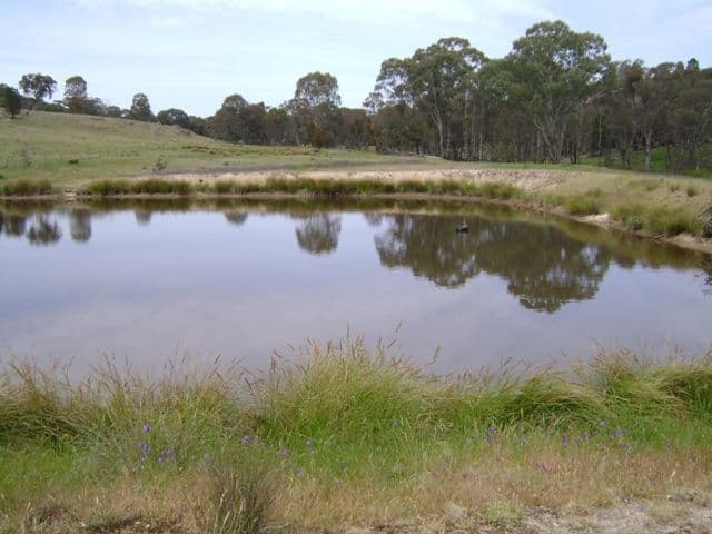 215 Woolpack Lane, CROWTHER NSW 2803, Crowther - Thumbnail 4
