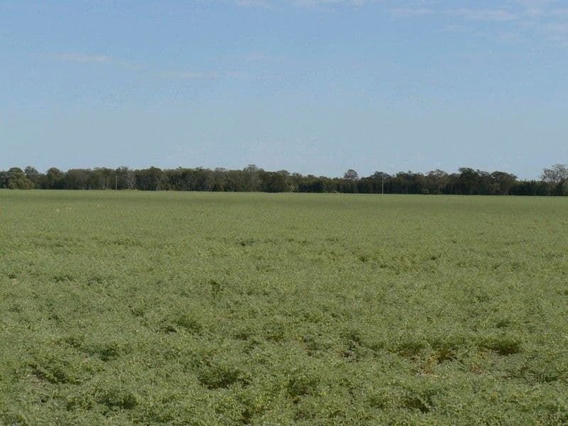 CROPPA CREEK NSW 2411, Croppa Creek - Image 1