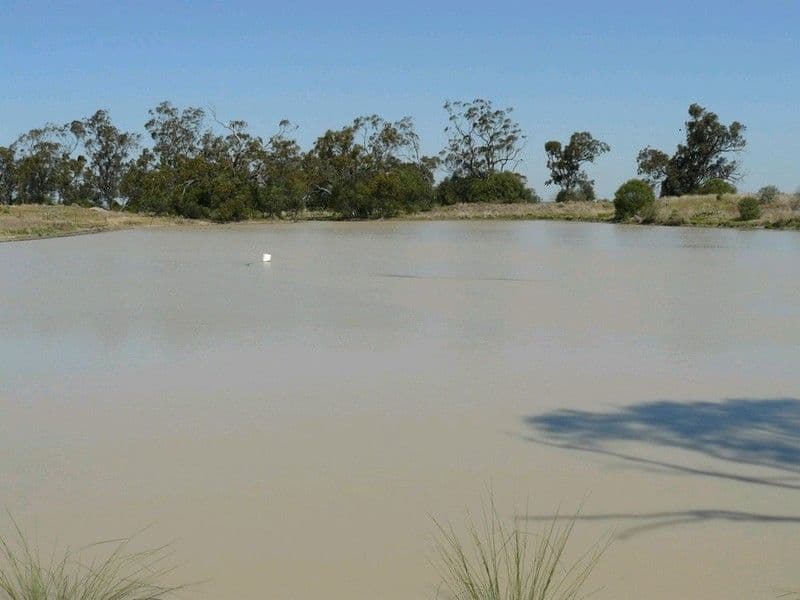 CROPPA CREEK NSW 2411, Croppa Creek - Thumbnail 8