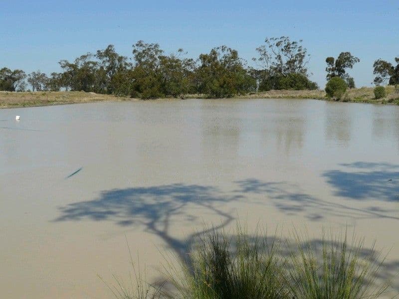 CROPPA CREEK NSW 2411, Croppa Creek - Thumbnail 7