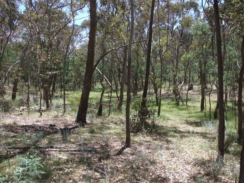 ORANGE NSW 2800, Orange - Thumbnail 5
