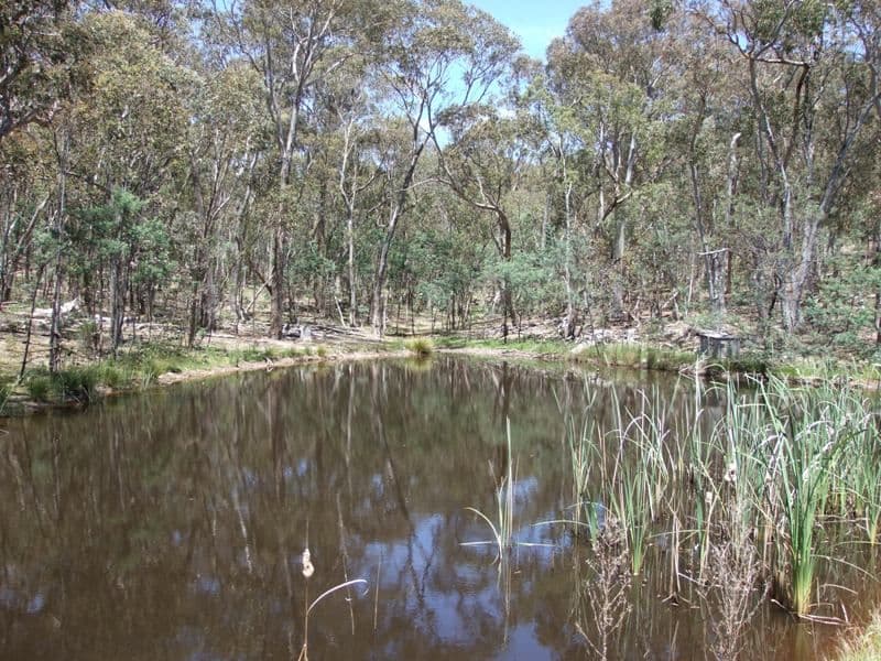 ORANGE NSW 2800, Orange - Thumbnail 6