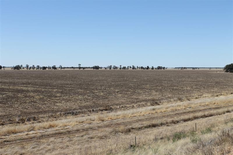 "Maranoa" Station, COLLIE NSW 2827, Collie - Thumbnail 6