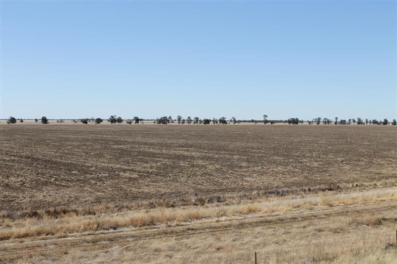 "Maranoa" Station, COLLIE NSW 2827, Collie - Thumbnail 8