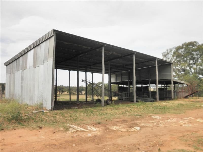 139 Heatherbrae Road, GEURIE NSW 2818, Geurie - Thumbnail 7