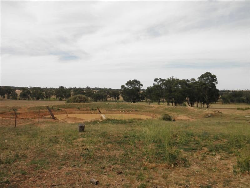 139 Heatherbrae Road, GEURIE NSW 2818, Geurie - Thumbnail 4
