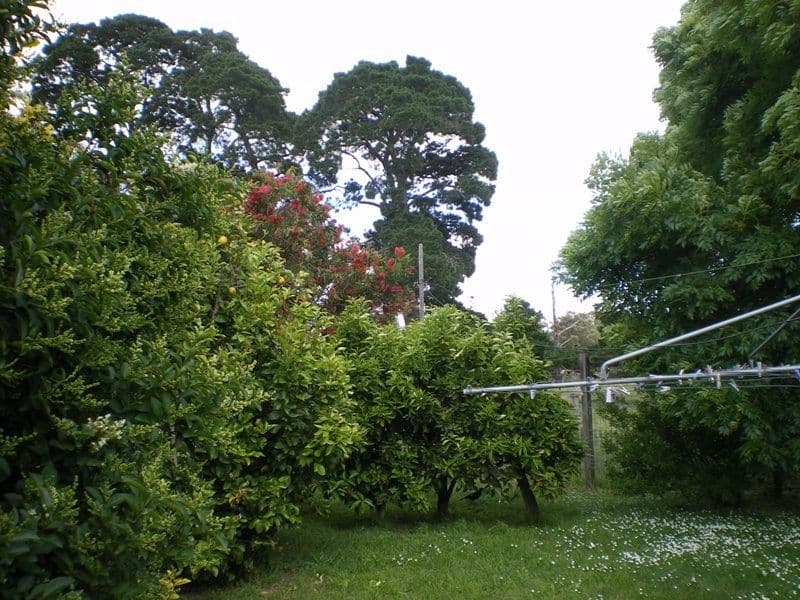 102 Bassets Lane, GLENGARRY VIC 3854, Glengarry - Thumbnail 7