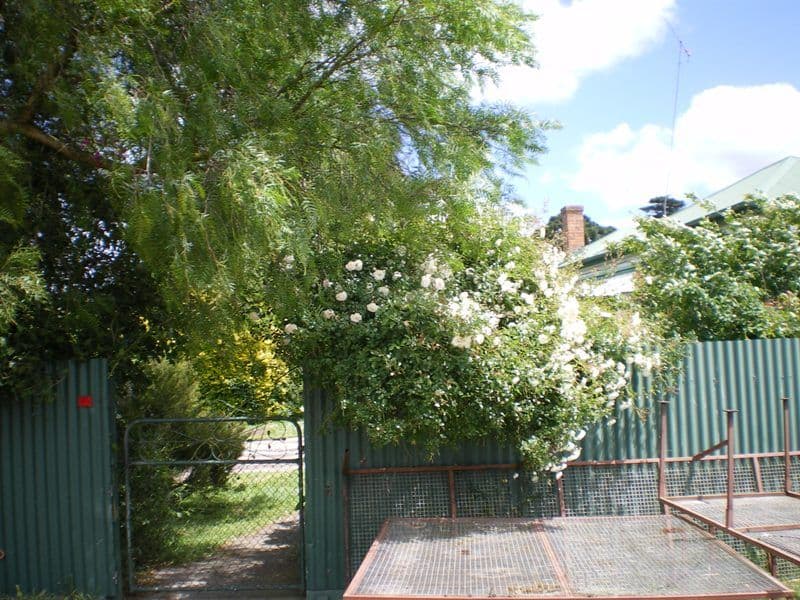 102 Bassets Lane, GLENGARRY VIC 3854, Glengarry - Thumbnail 5