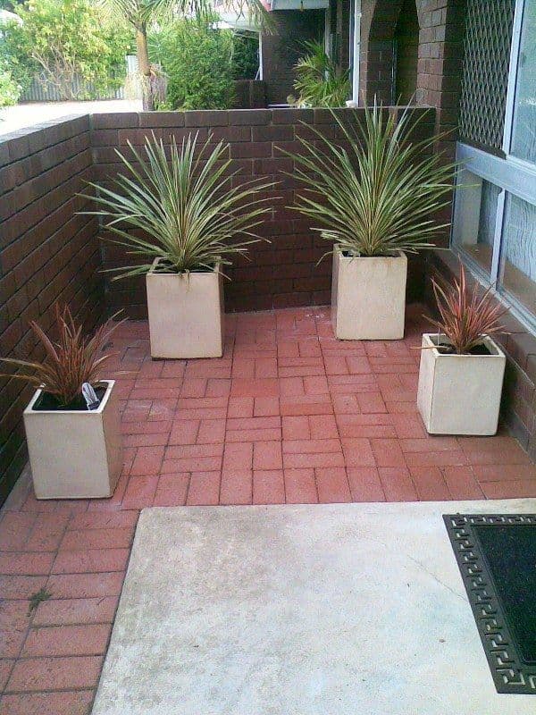 60 Hammad Street, PALMYRA WA 6157, Palmyra - Thumbnail 4
