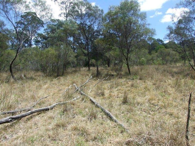 14 Dingo Mountain Road, CROWS NEST QLD 4355, Crows Nest - Thumbnail 4