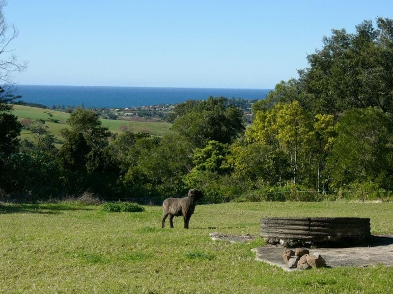 254 Willowvale Road, GERRINGONG NSW 2534, Gerringong - Thumbnail 2