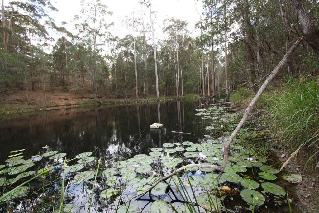 166 Burridge Road, TANDUR QLD 4570, Tandur - Thumbnail 2