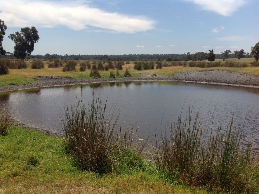 lot13116 postcode Road, MANJIMUP WA 6258, Manjimup - Thumbnail 2