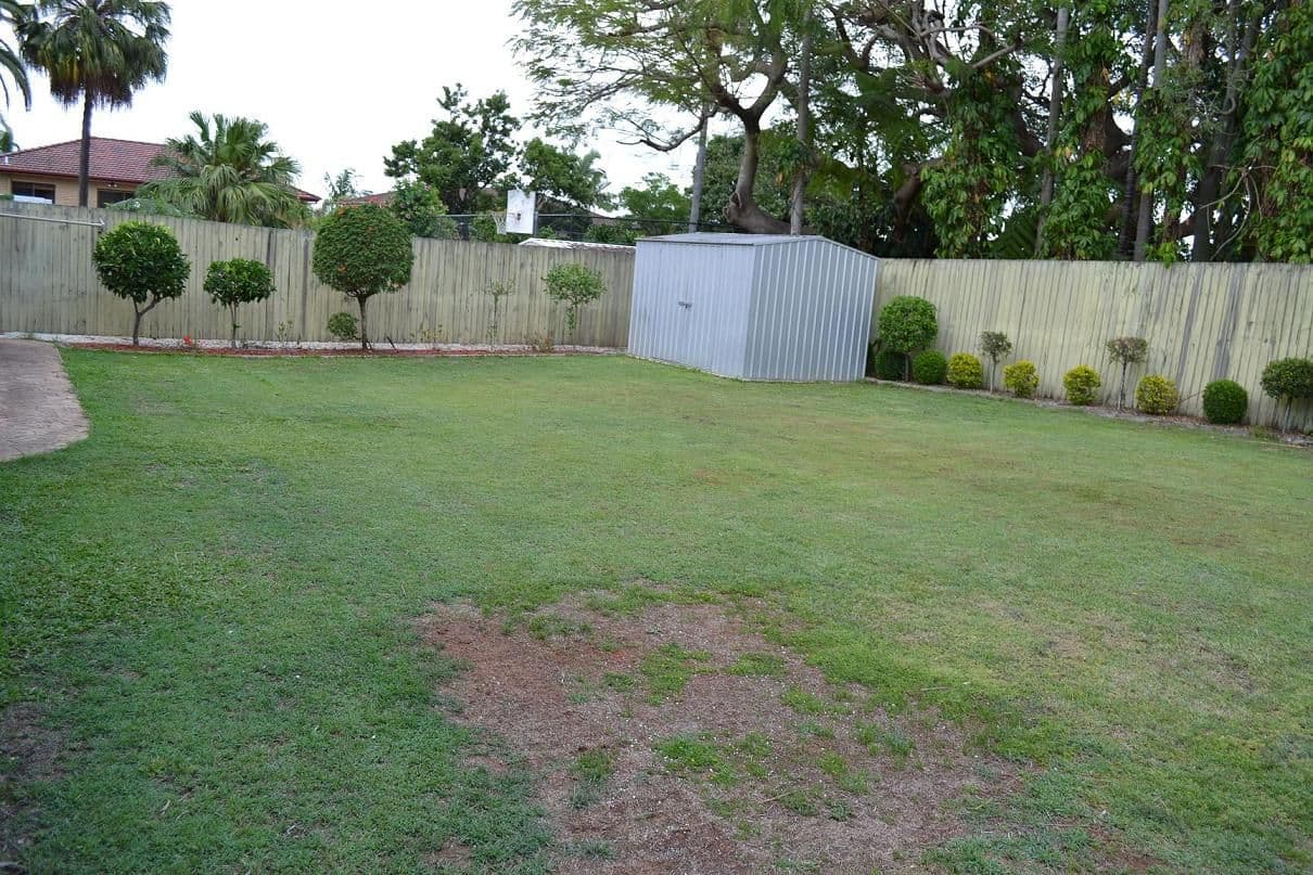 40 Lingle Street, ROBERTSON QLD 4109, Robertson - Thumbnail 8