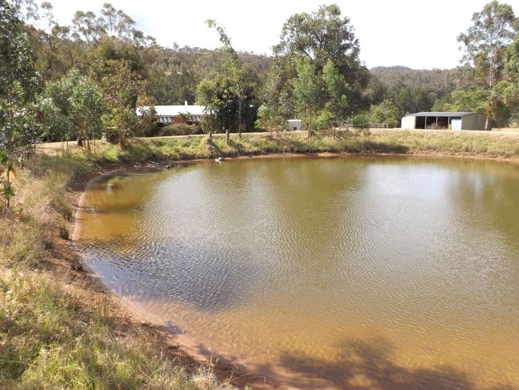 2838 Putty Road, MILBRODALE NSW 2330, Milbrodale - Thumbnail 2