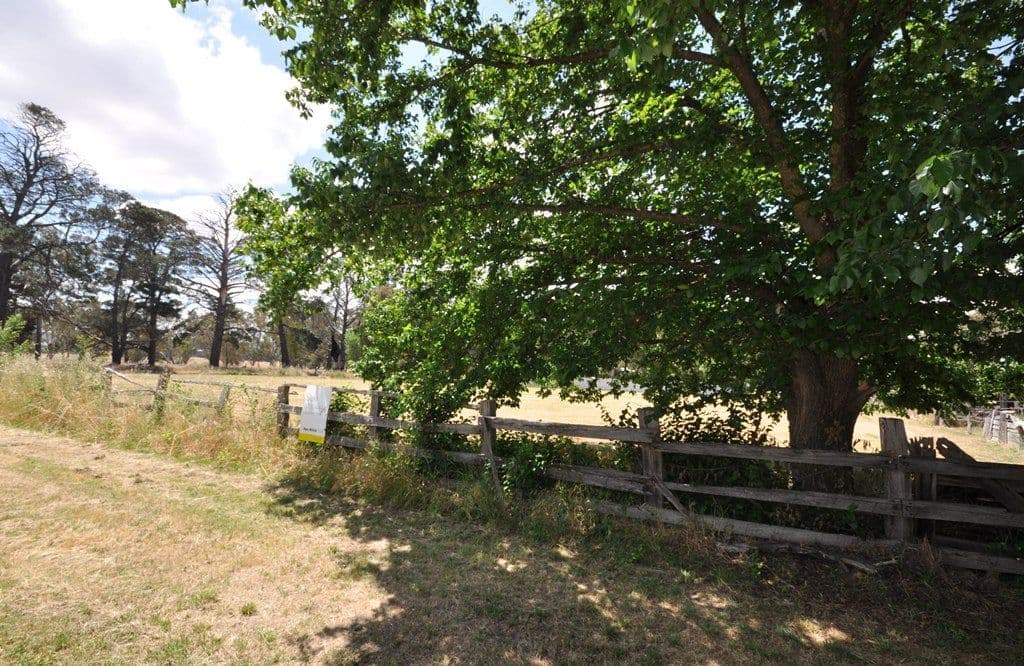 CA's 5 and 6 High Street, ELMHURST  Victoria  3469, Australia, Elmhurst - Thumbnail 3
