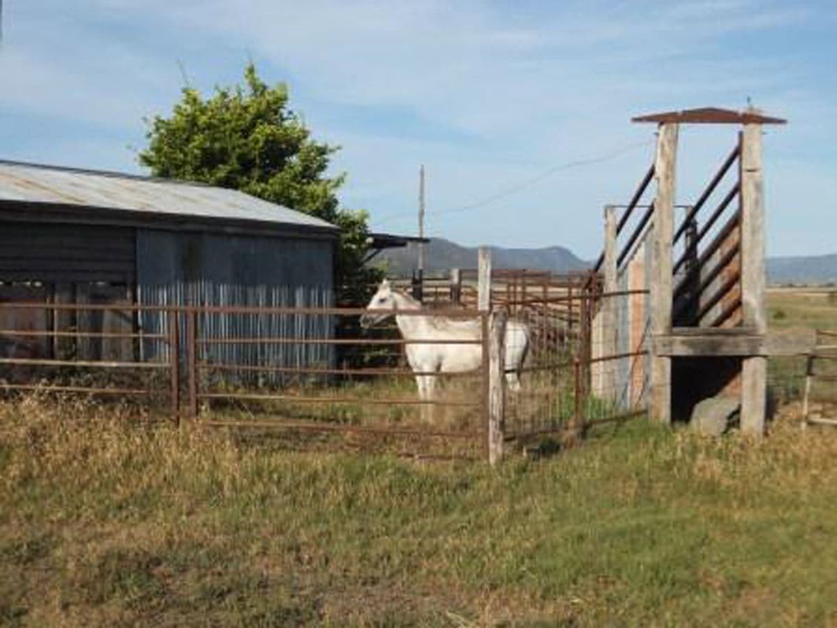 101 Doyles Road, CLINTONVALE QLD 4370, Clintonvale - Thumbnail 2