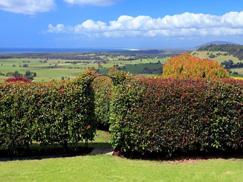 221 Willowvale Road, GERRINGONG NSW 2534, Gerringong - Thumbnail 7