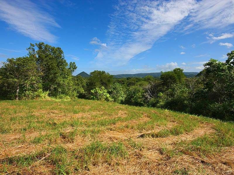309 Black Pinch Road, POMONA QLD 4568, Pomona - Image 1