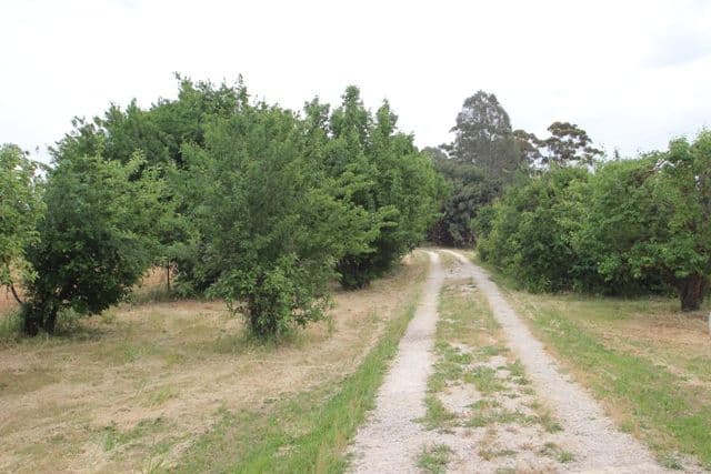 Section 56 Main North Road, STANLEY FLAT SA 5453, Stanley Flat - Thumbnail 2
