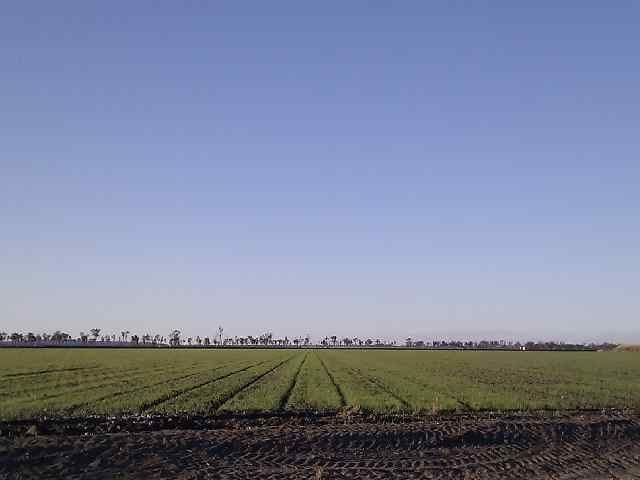 JIMBOUR QLD 4406, Jimbour East - Thumbnail 5