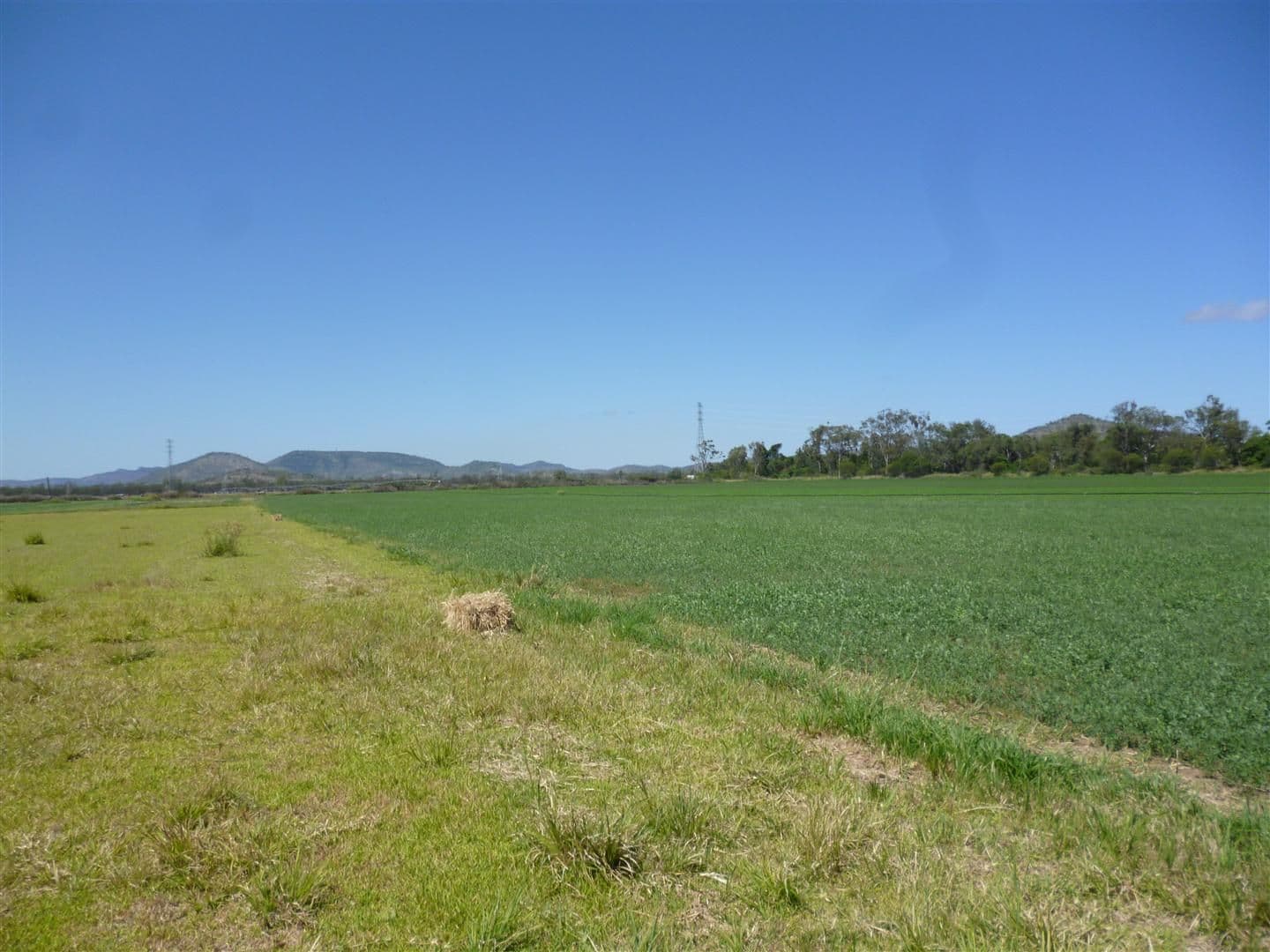 0 Kelly Road, GRACEMERE QLD 4702, Gracemere - Thumbnail 7