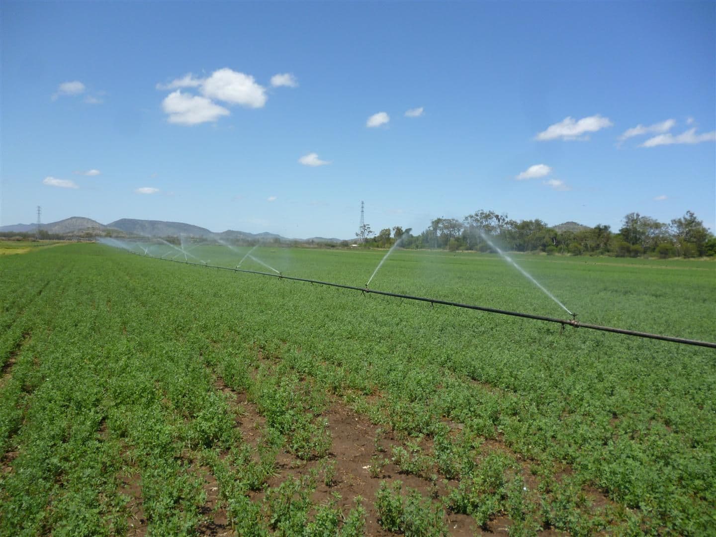 0 Kelly Road, GRACEMERE QLD 4702, Gracemere - Thumbnail 4