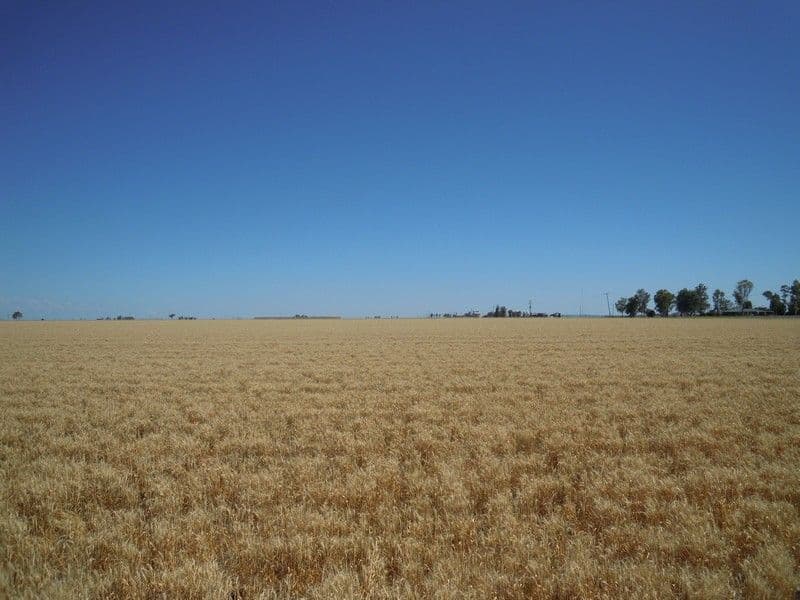 5767 Toowoomba Cecil Plains Road, NORWIN QLD 4356, Norwin - Thumbnail 3
