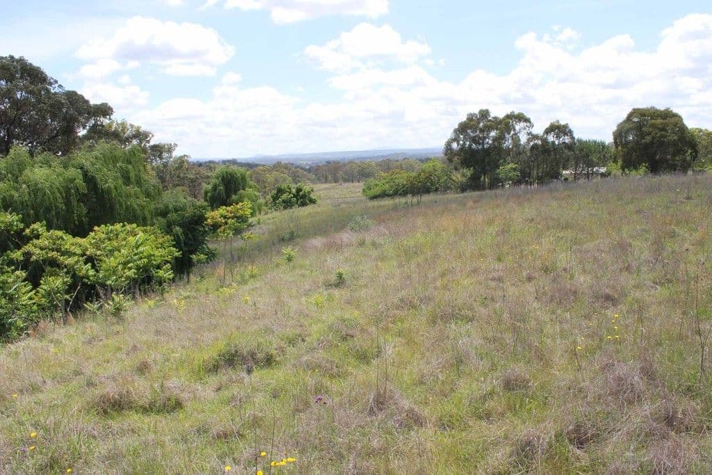 2078 Wellington Vale Road, EMMAVILLE NSW 2371, Emmaville - Thumbnail 3