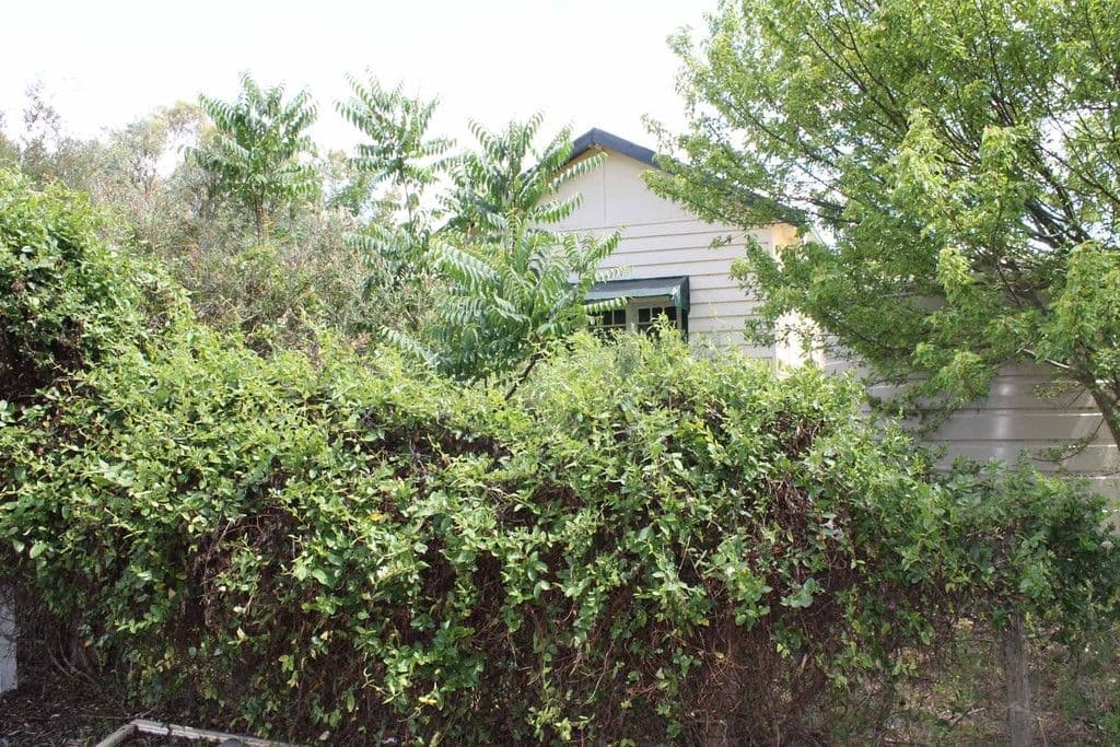 2078 Wellington Vale Road, EMMAVILLE NSW 2371, Emmaville - Thumbnail 6