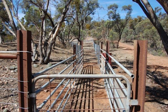 Sec 242 Devils Peak Road, QUORN SA 5433, Quorn - Thumbnail 5