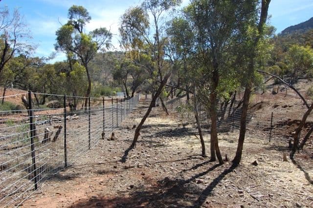 Sec 242 Devils Peak Road, QUORN SA 5433, Quorn - Thumbnail 6