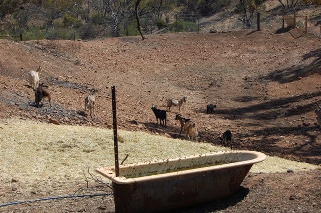 Sec 242 Devils Peak Road, QUORN SA 5433, Quorn - Thumbnail 7