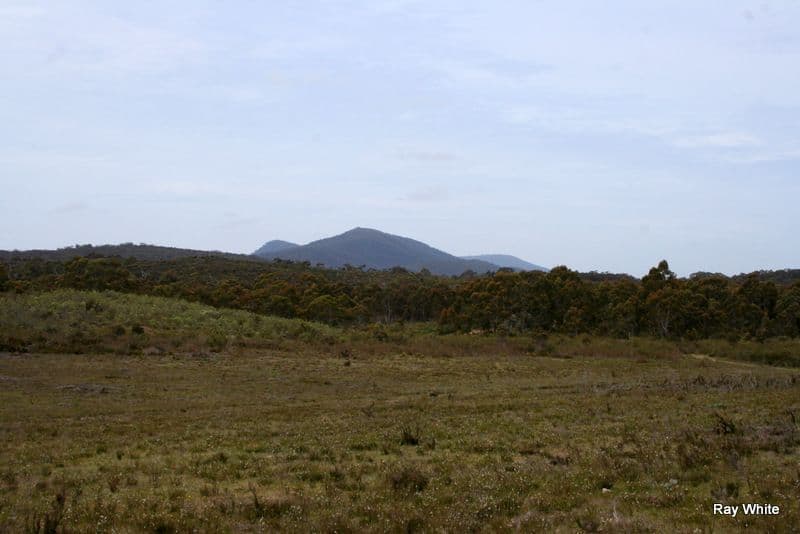 1144 Charleys Forest, BRAIDWOOD NSW 2622, Braidwood - Thumbnail 3