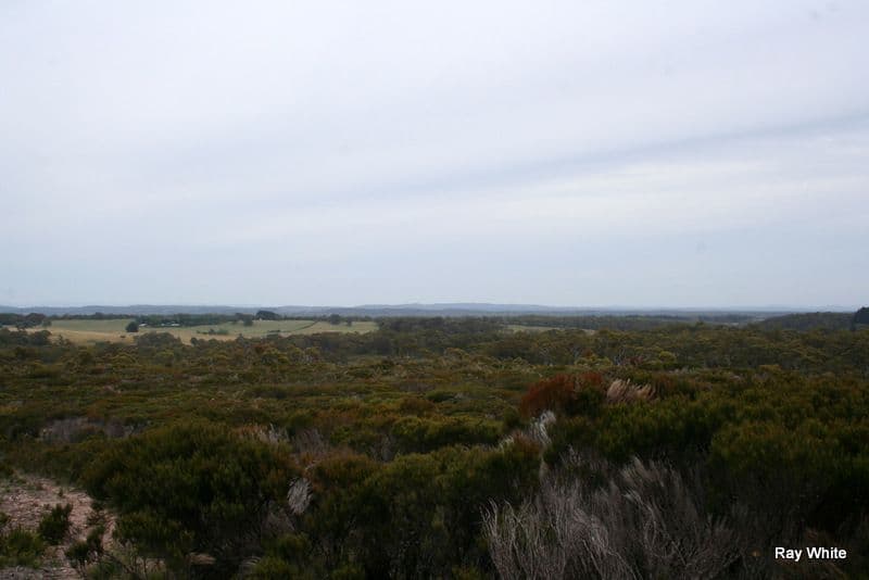 1144 Charleys Forest, BRAIDWOOD NSW 2622, Braidwood - Thumbnail 8