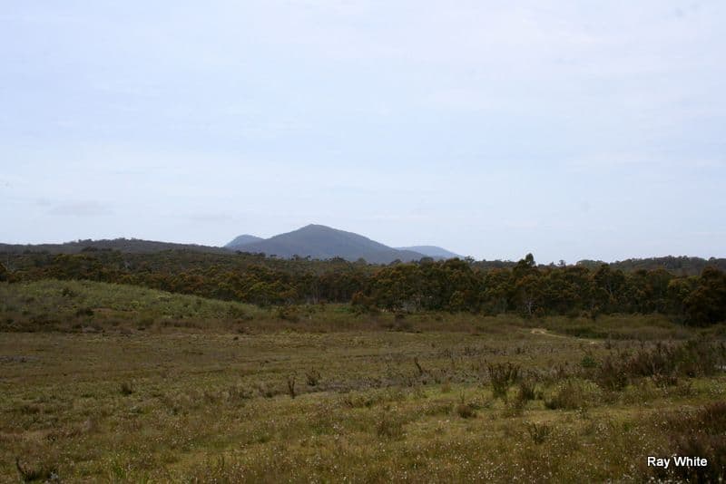 1144 Charleys Forest, BRAIDWOOD NSW 2622, Braidwood - Thumbnail 7