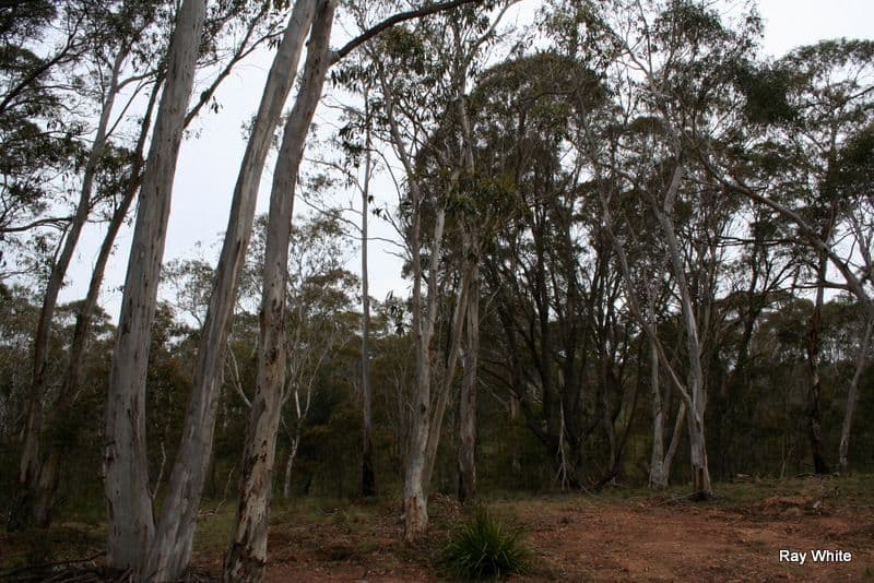 610 Northangera, BRAIDWOOD NSW 2622, Braidwood - Thumbnail 3