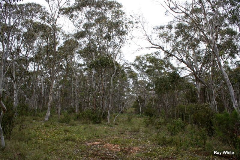 610 Northangera, BRAIDWOOD NSW 2622, Braidwood - Thumbnail 4