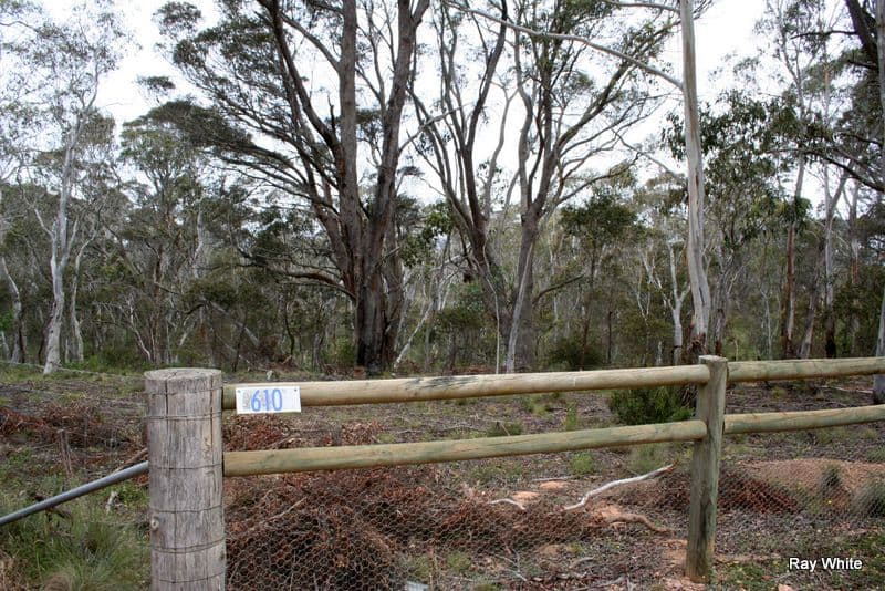 610 Northangera, BRAIDWOOD NSW 2622, Braidwood - Thumbnail 2