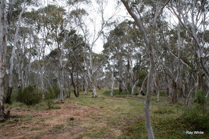 610 Northangera, BRAIDWOOD NSW 2622, Braidwood - Image 1