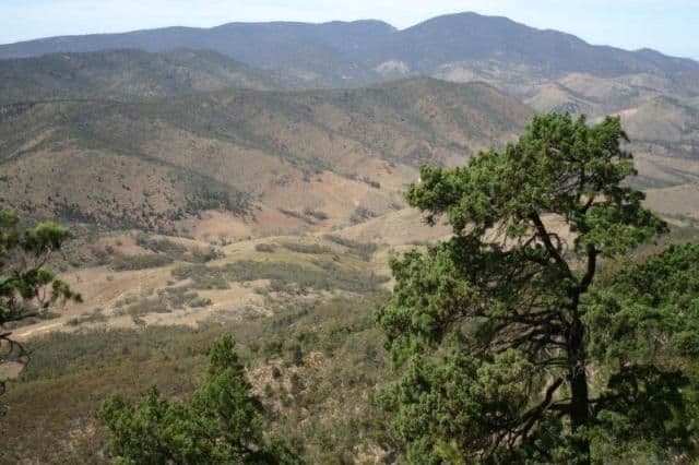 Sec 242 Devils Peak Road, QUORN SA 5433, Quorn - Image 1