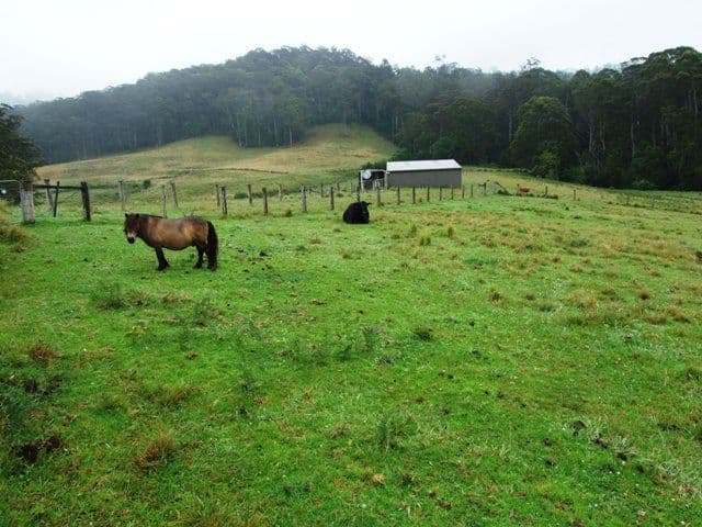 Lot 4 Princes Highway, TERMEIL NSW 2539, Termeil - Thumbnail 4