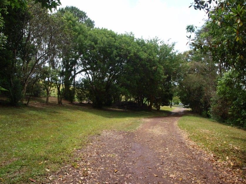 73 McCarthy Road, Maleny QLD 4552, Maleny - Thumbnail 2