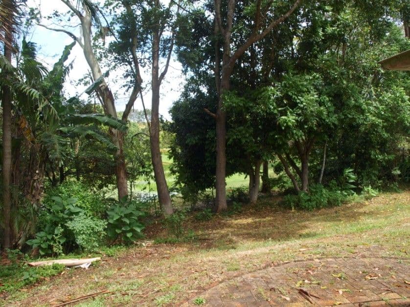 73 McCarthy Road, Maleny QLD 4552, Maleny - Thumbnail 5