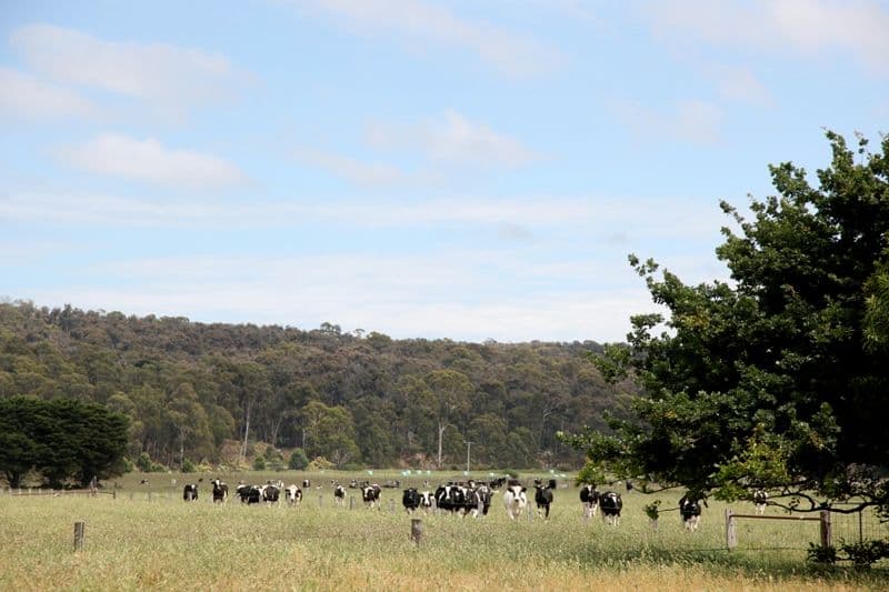 295 Glengarry North Road, GLENGARRY VIC 3854, Glengarry - Thumbnail 8