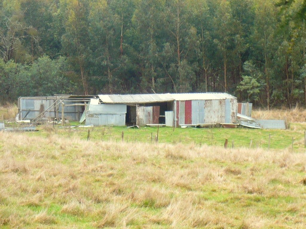 RAGLAN VIC 3373, Raglan - Thumbnail 2